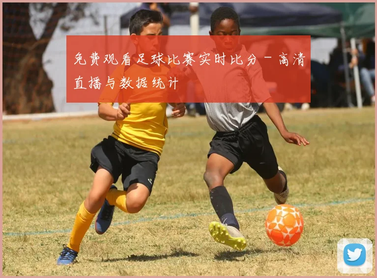 免费观看足球比赛实时比分 - 高清直播与数据统计